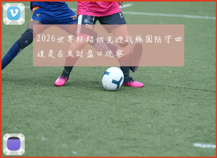 2026世界杯绍切克迎战韩国防守回追是否及时盘口观察