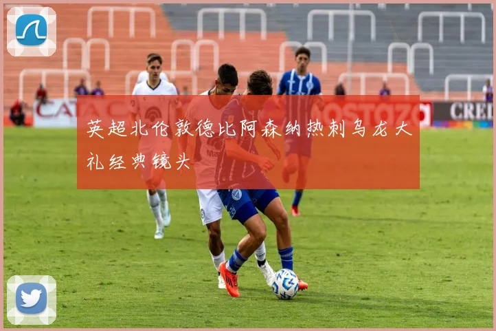 英超北伦敦德比阿森纳热刺乌龙大礼经典镜头