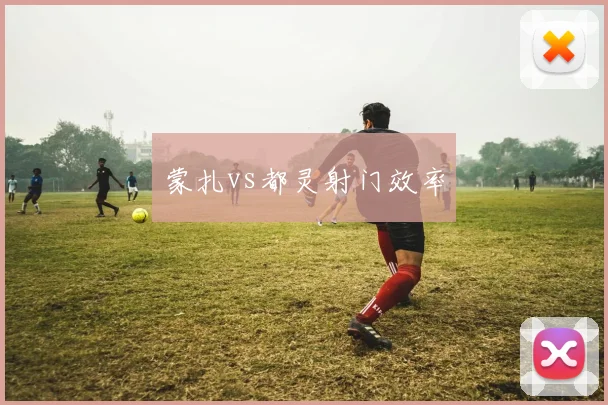 蒙扎vs都灵射门效率