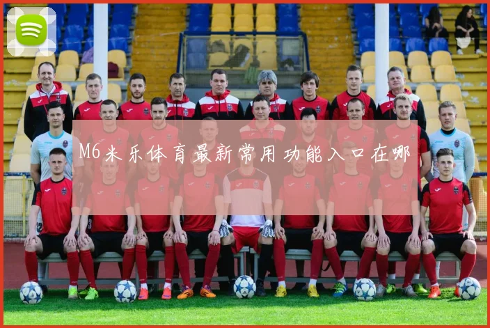 M6米乐体育最新常用功能入口在哪