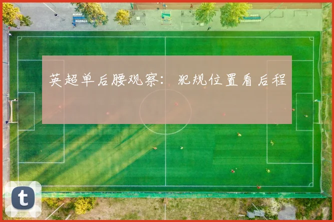 英超单后腰观察:犯规位置看后程