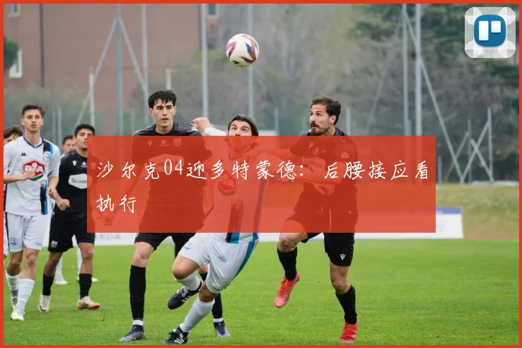 沙尔克04迎多特蒙德:后腰接应看执行