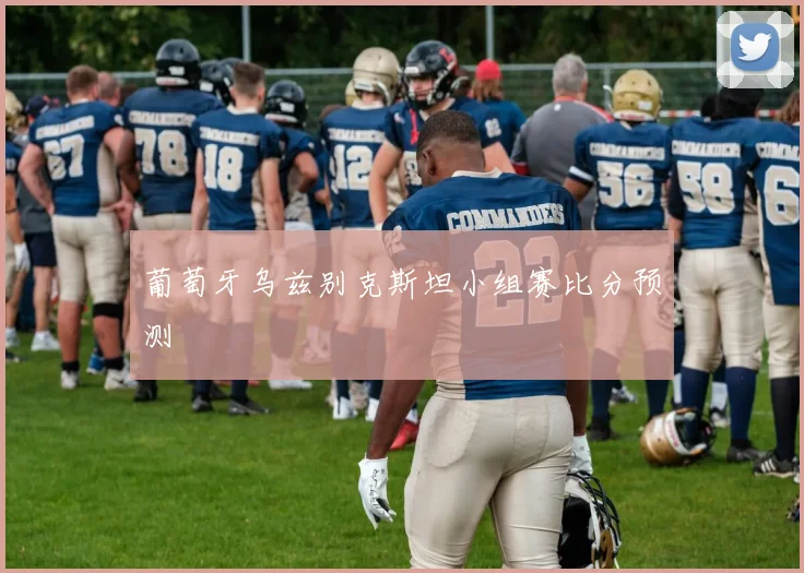 葡萄牙乌兹别克斯坦小组赛比分预测